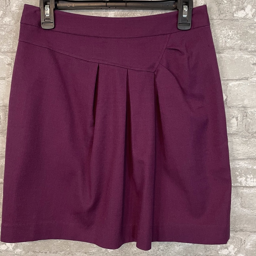 Anthropologie Tabitha Pleated Skirt